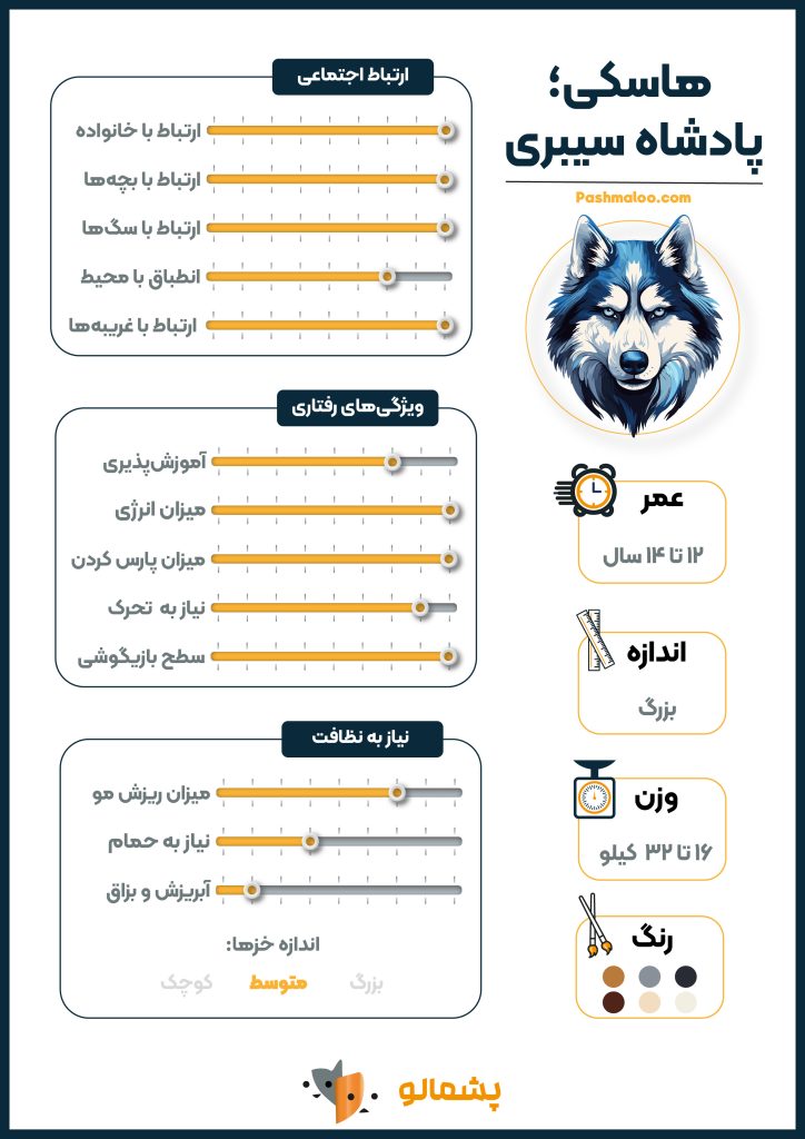Husky breed infographic