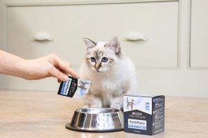 پروبیوتیک برای گربه‌ها